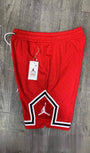 Jordan Biscut Shorts