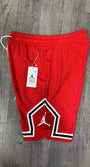 Jordan Biscut Shorts